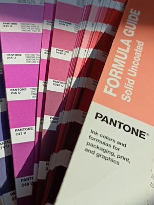 Aangepast Prachtig Logo Naai-op Borduurontwerp Volledig Geborduurd op Stof Patches voor Kleding