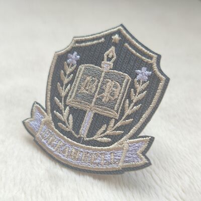 Op maat geborduurde pleisters - op ijzer of naaien, 2D/3D ontwerp voor uniformen en tassen