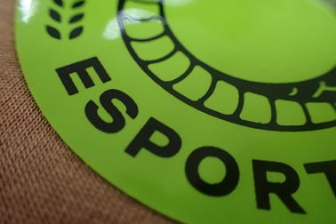 De gepersonaliseerde Elegante Etiketten van de Hitteoverdracht voor Kledingstukken Aangepaste Grootte
